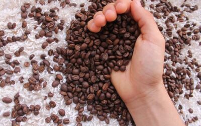Kofein I.: Kolik kávy můžeme vypít?