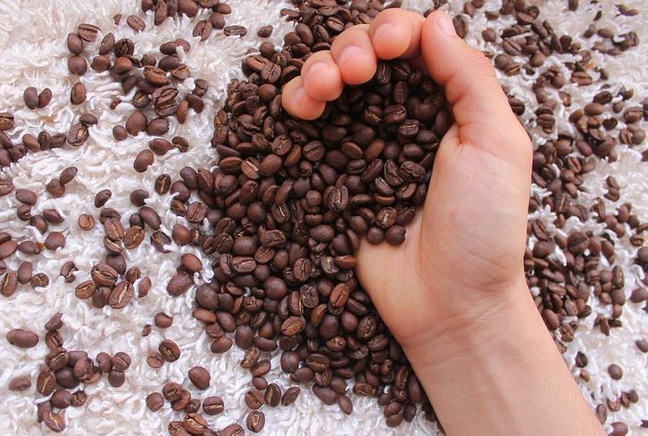 Kofein I.: Kolik kávy můžeme vypít?