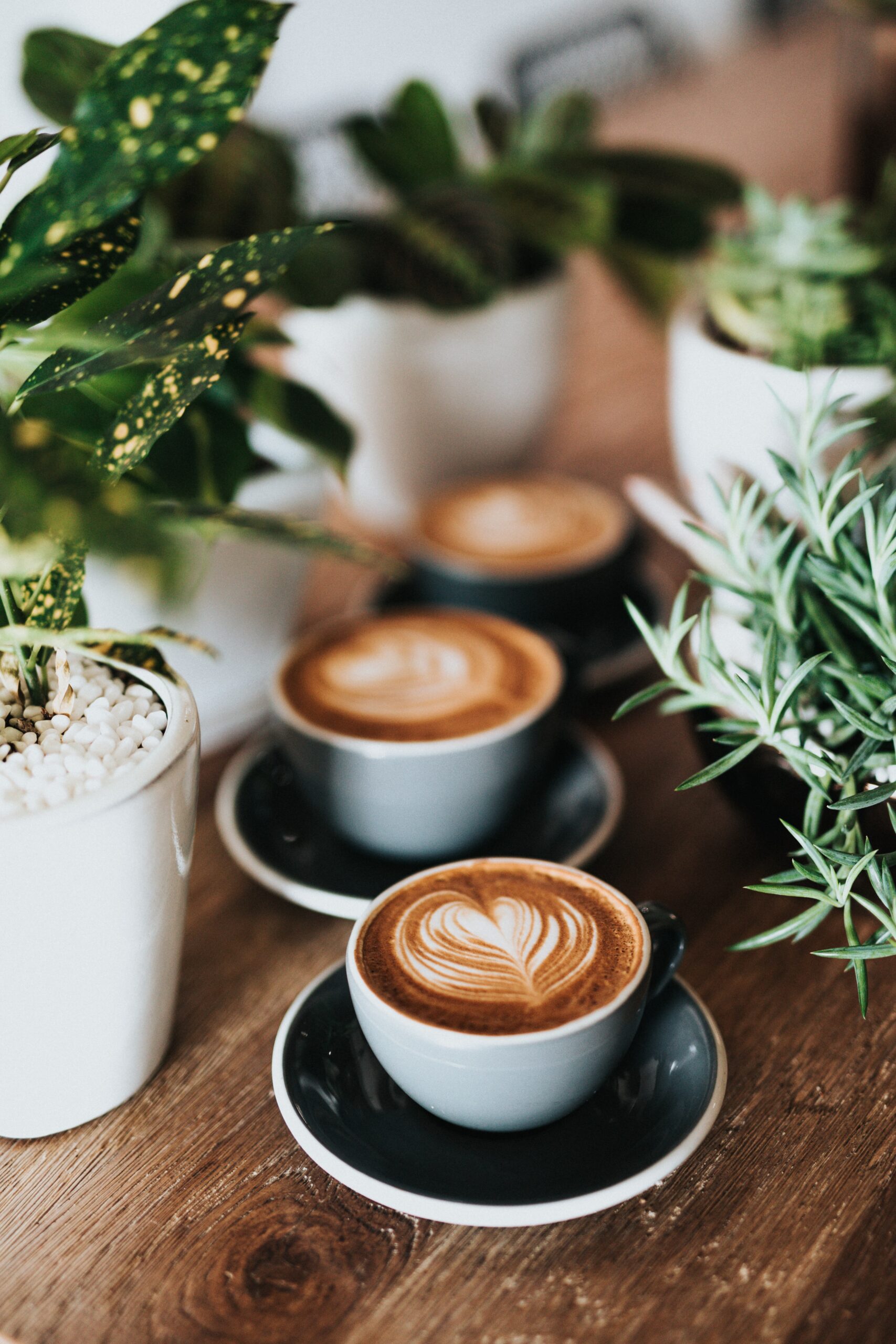 5 tipů jak si vybrat kávu, která chutná