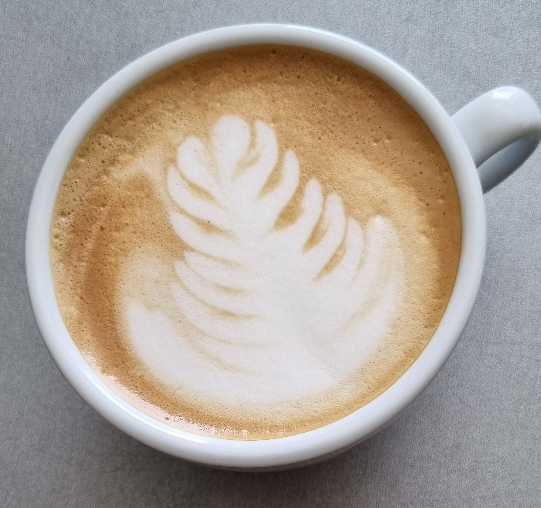 Poznejte tajemství kávy – 9 faktů o nejoblíbenějším nápoji světa